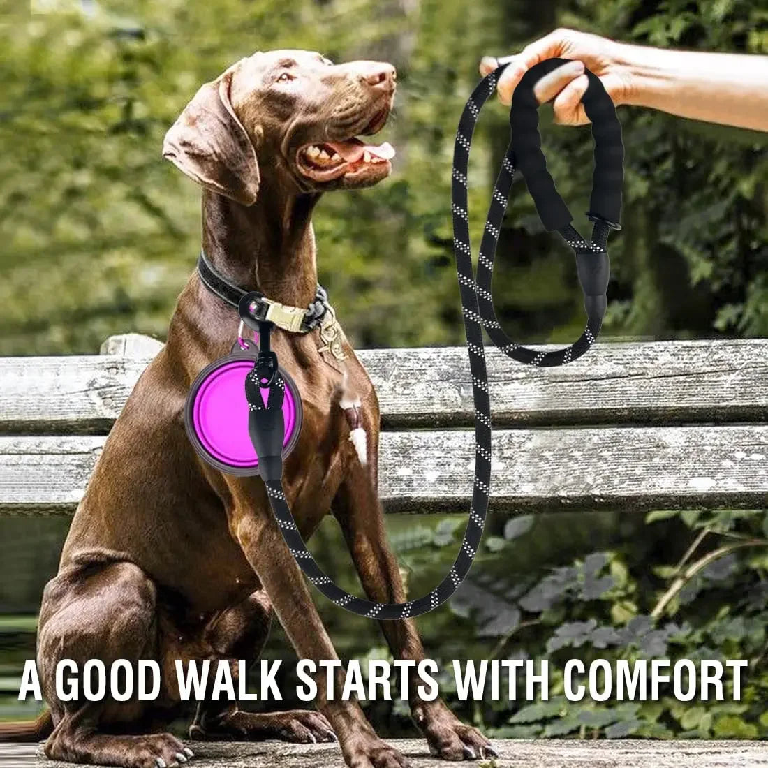 Ultra-Resistant Reflective Leash – Total Control & Safety 🐶💛