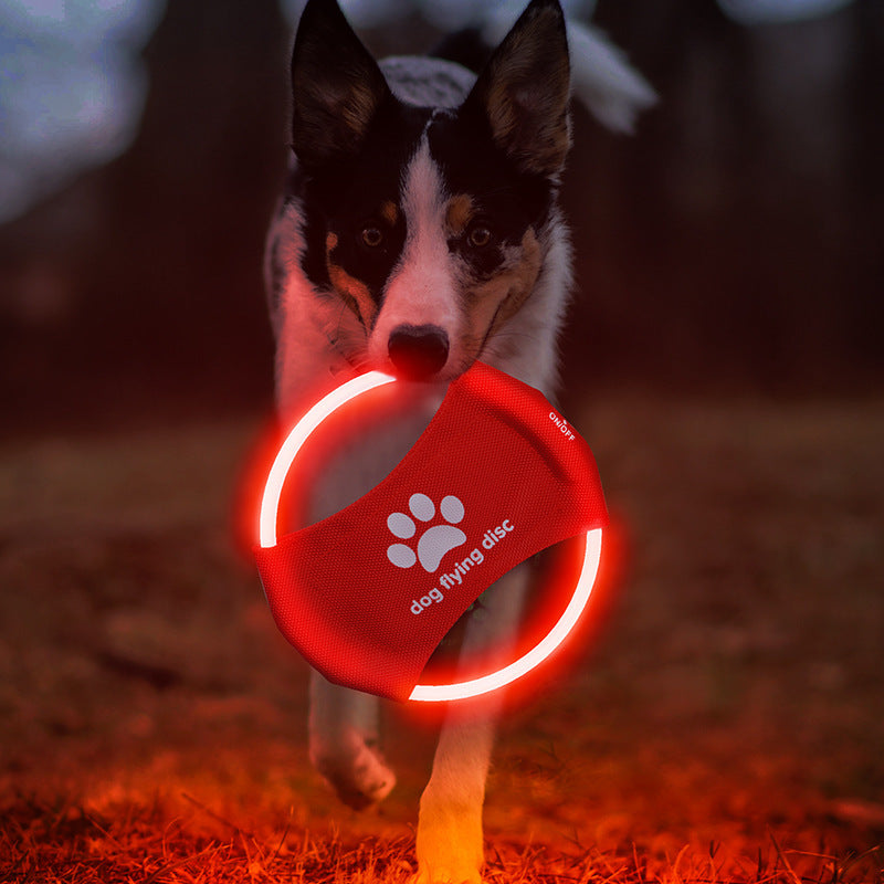 LED Light-Up Frisbee – Night Play & Unlimited Fun 🌙✨